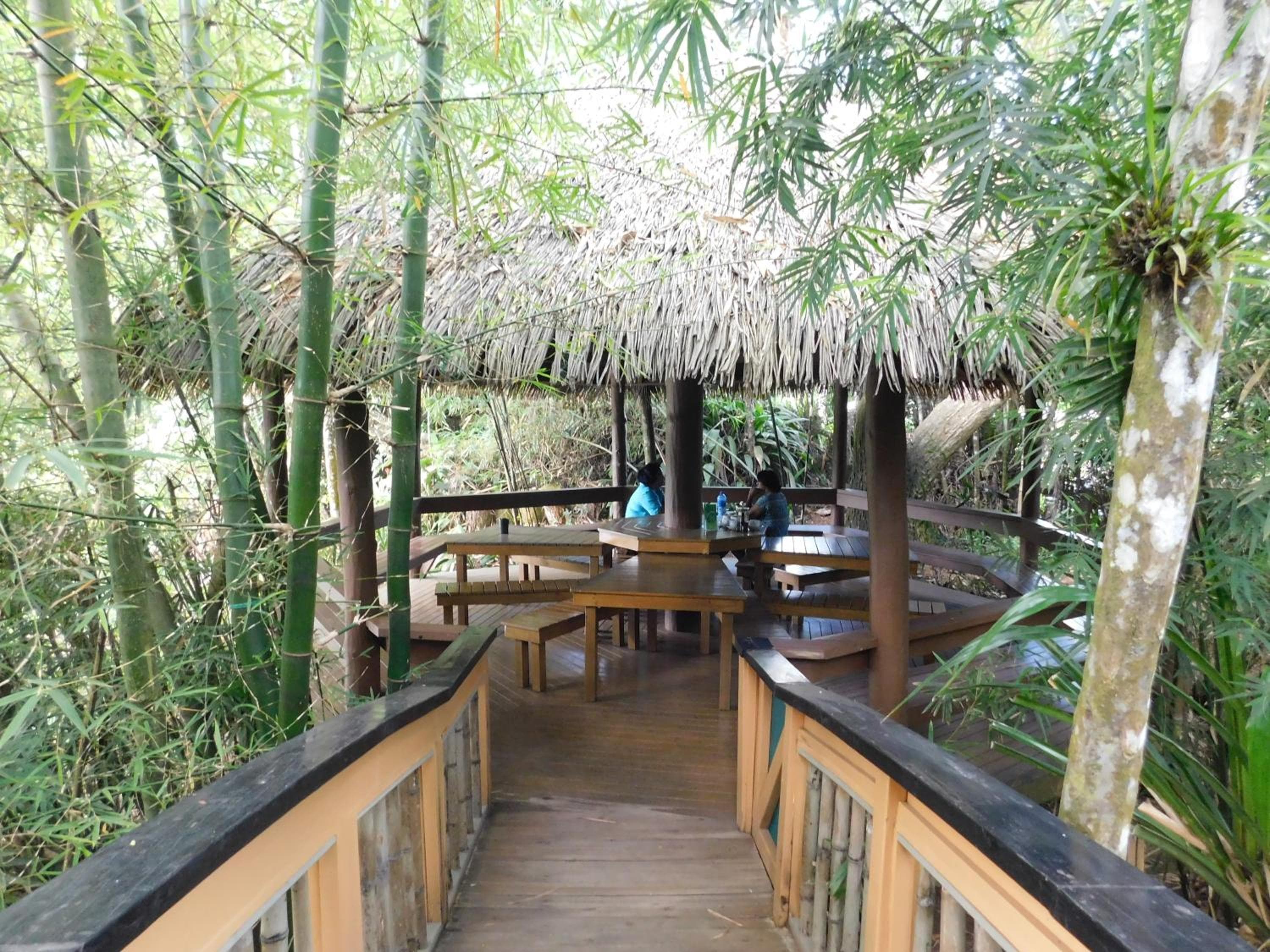 Rainforest Eco Lodge property photograph