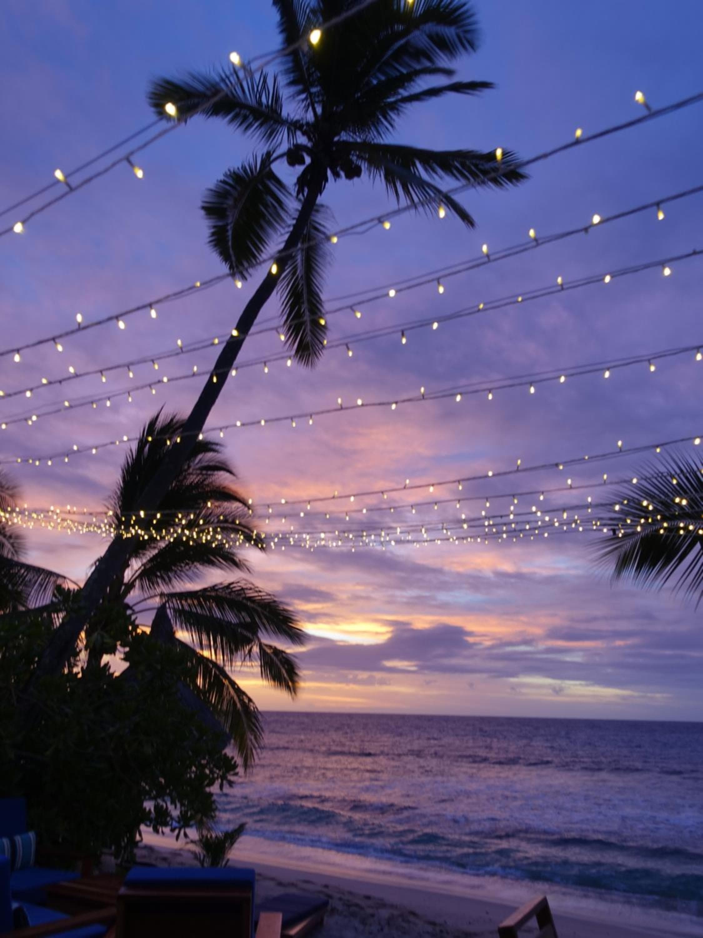 Octopus Resort property photograph