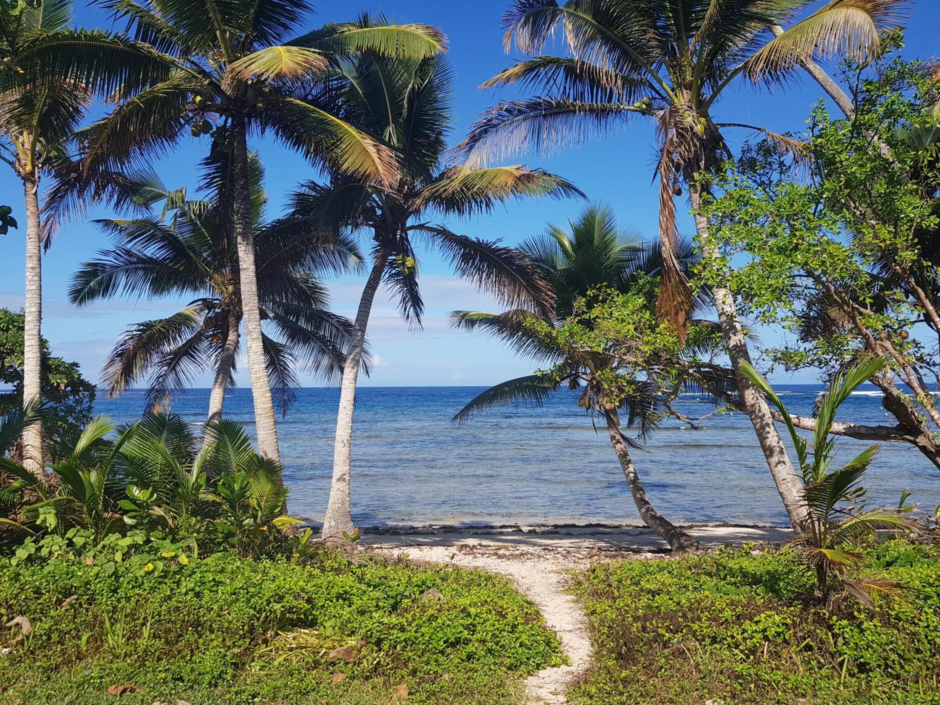 Fiji Lodge Vosa Ni Ua property photograph