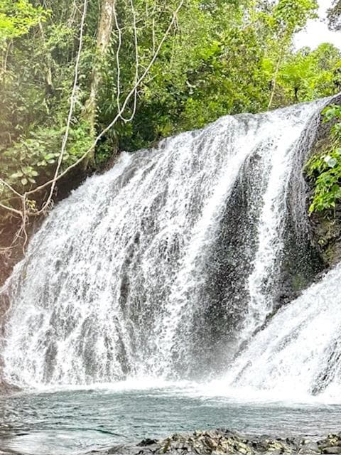 Cosy Farmstay Jasmeeruls Bayt Tuvurara, Savusavu property photograph