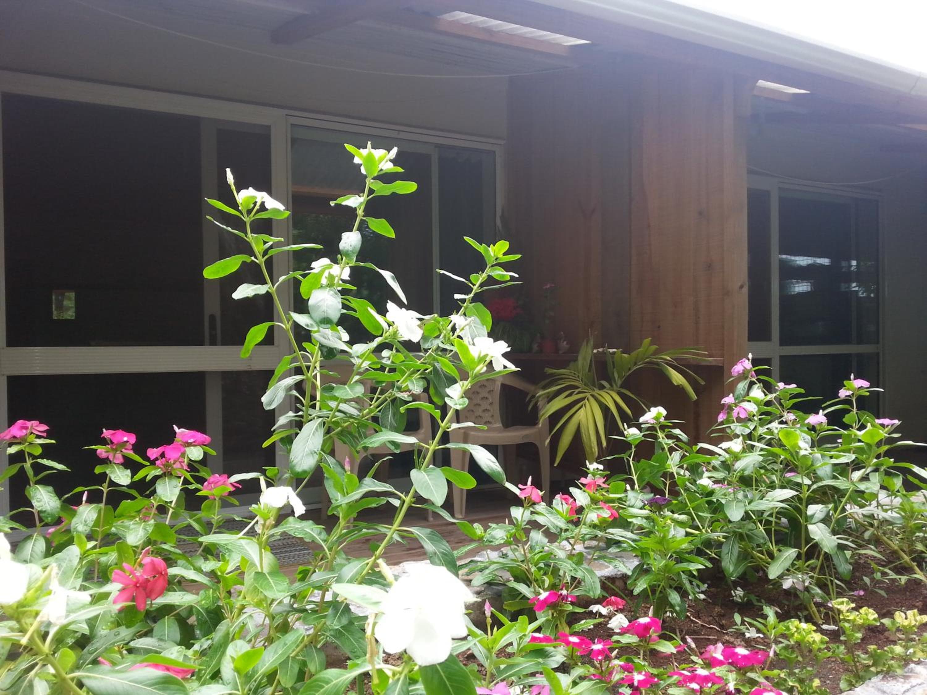 Gecko Lodge Fiji property photograph