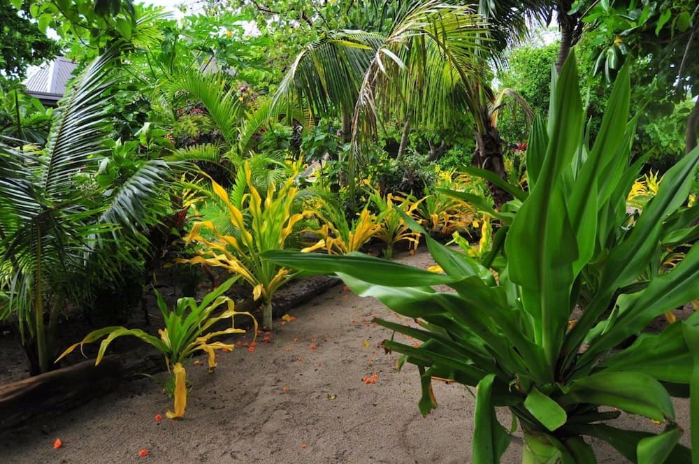 Property photograph of Blue Lagoon Beach Resort