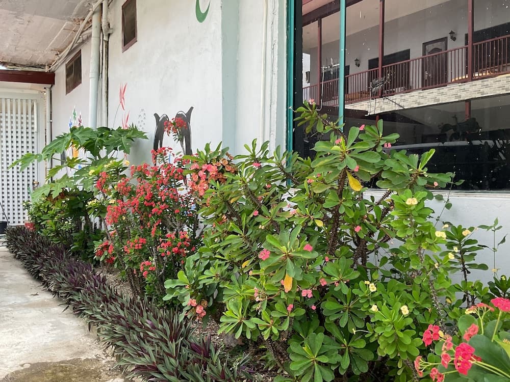 Fox Homestay property photograph