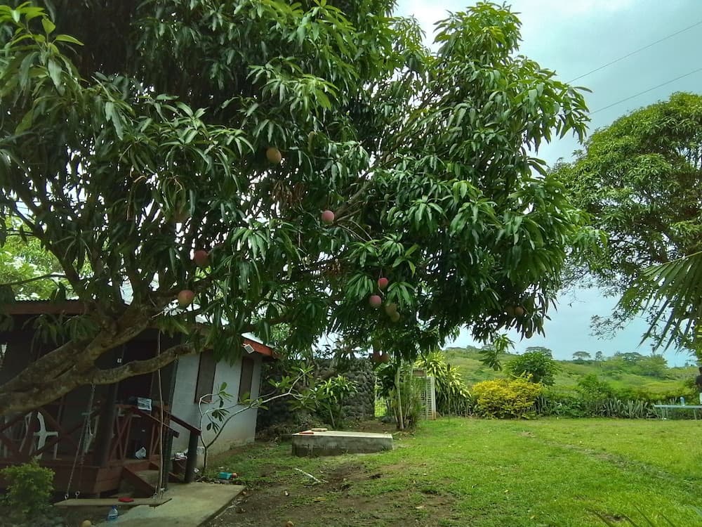 Room-tropical Oasis in Tonge, Fiji - Rel property photograph