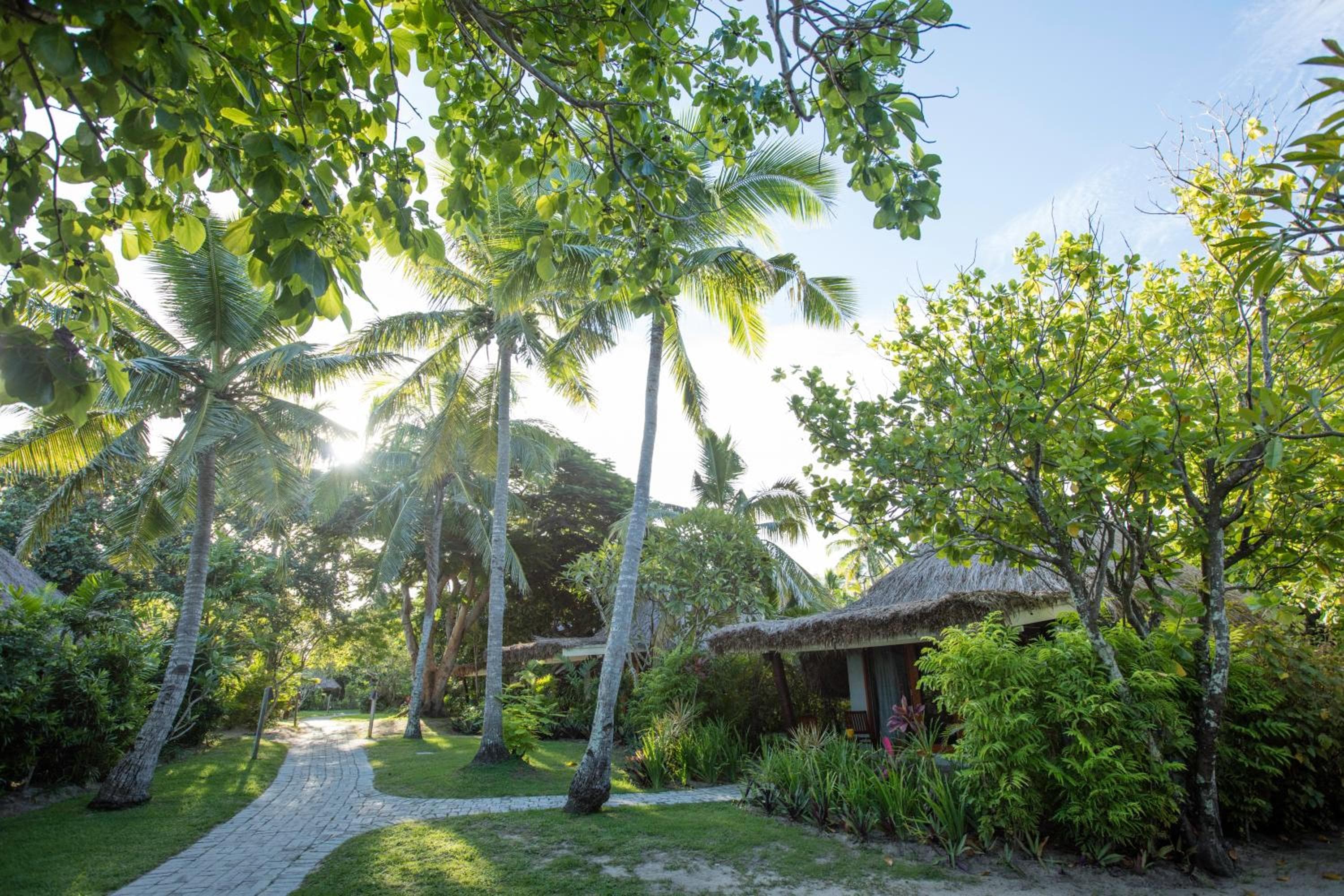 Island Bure at Castaway Island, Fiji