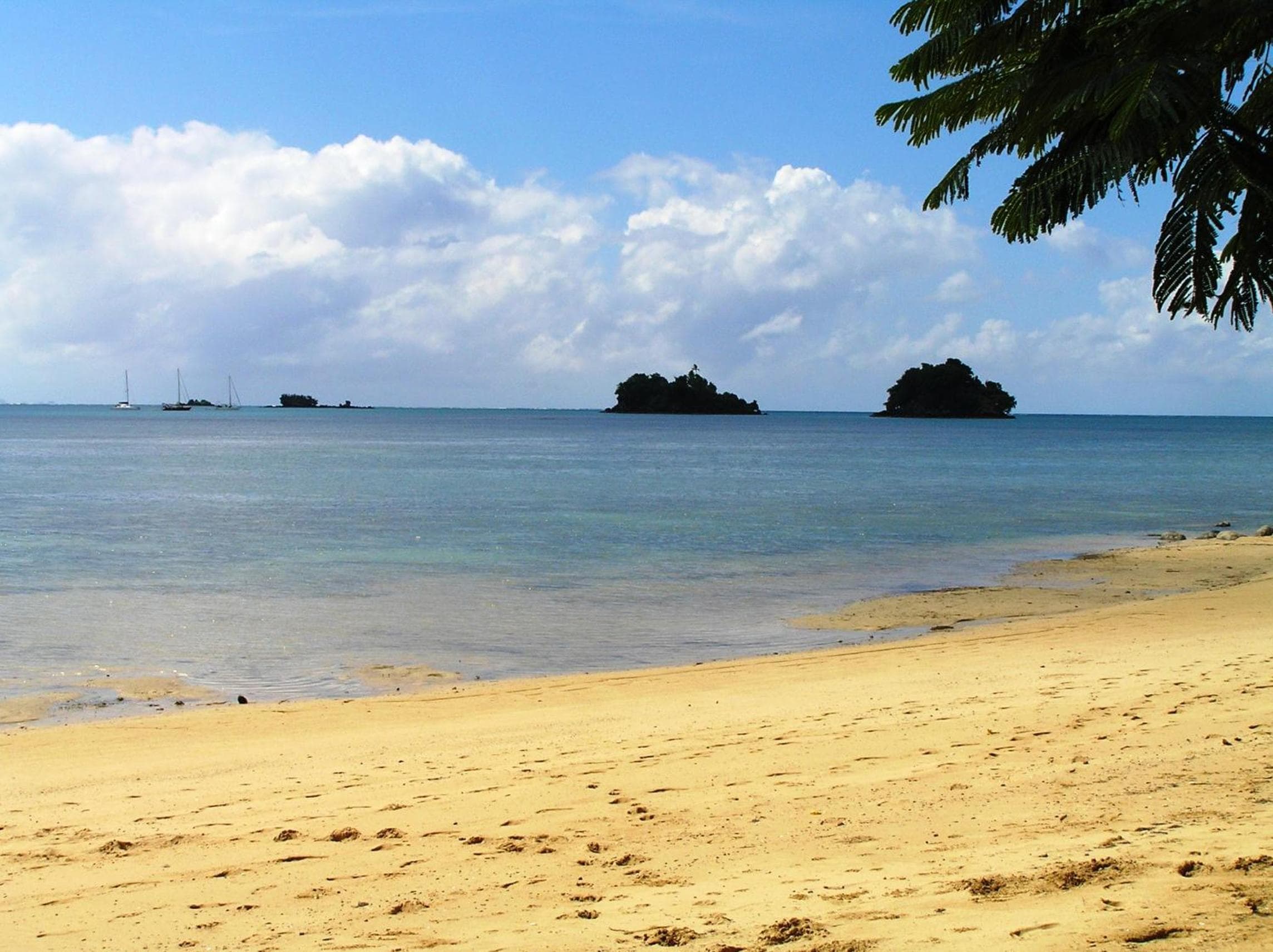 Bungalow with Sea View at Coconut Grove Beachfront Resort