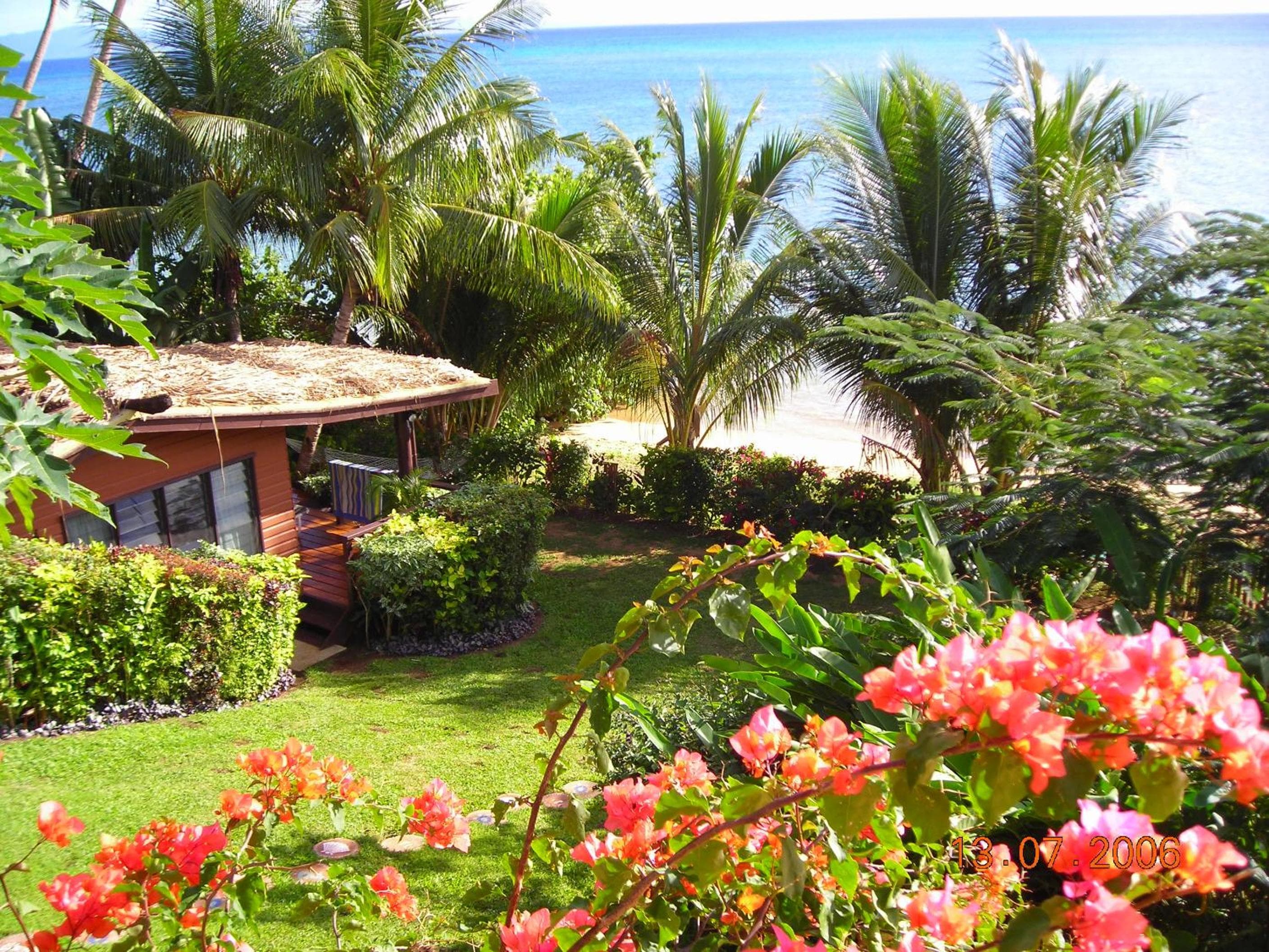 Bungalow - Beach Front at Coconut Grove Beachfront Resort