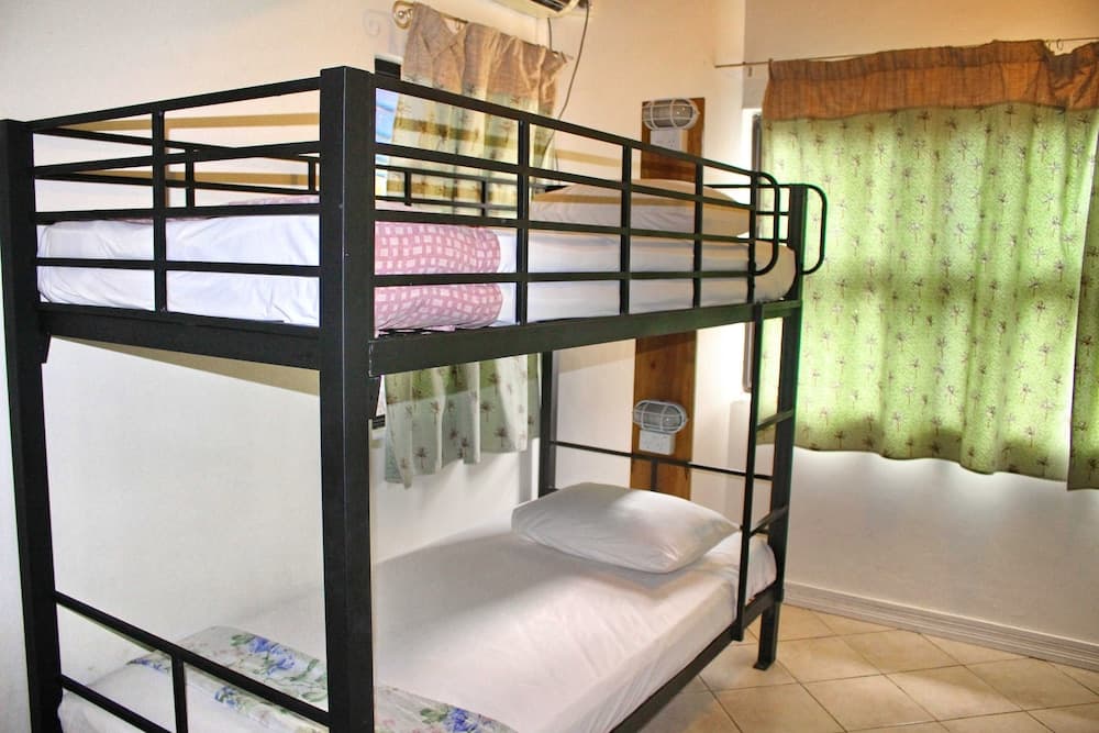 4 Bed Dorm at Bamboo Backpackers
