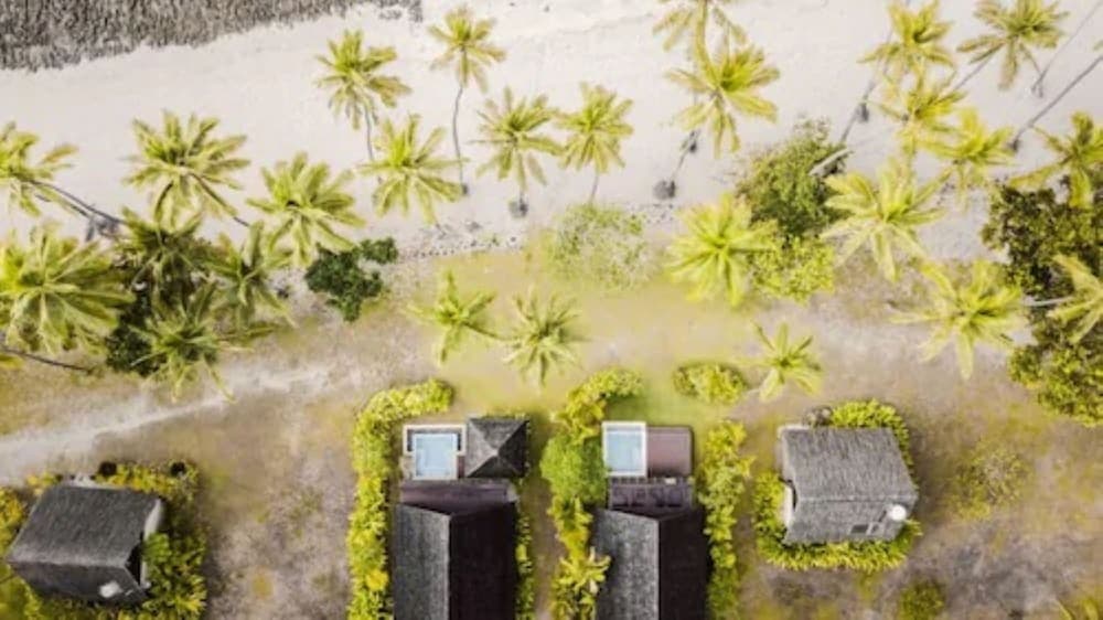 Beachfront Plunge Pool Bure at Tambua Sands Beach Resort - Adults Only