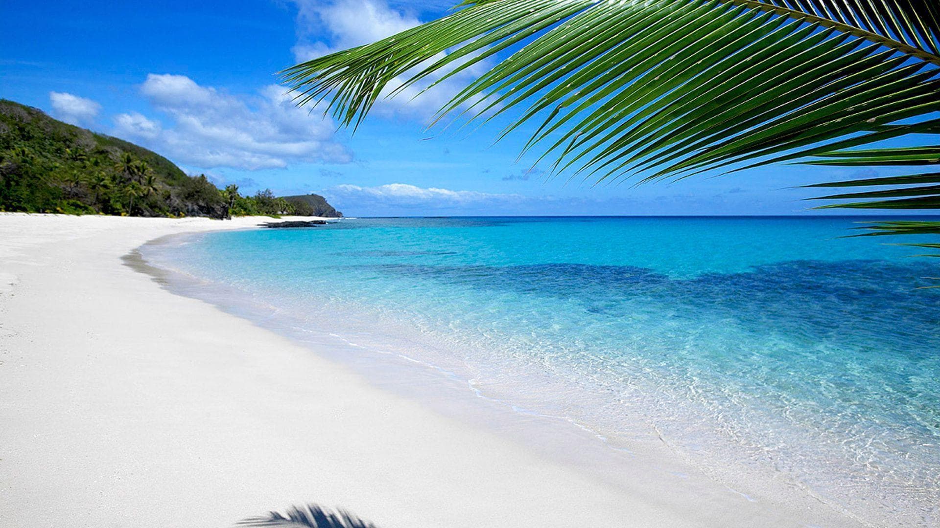 A quiet white-sand beach beside clear blue water in Fiji