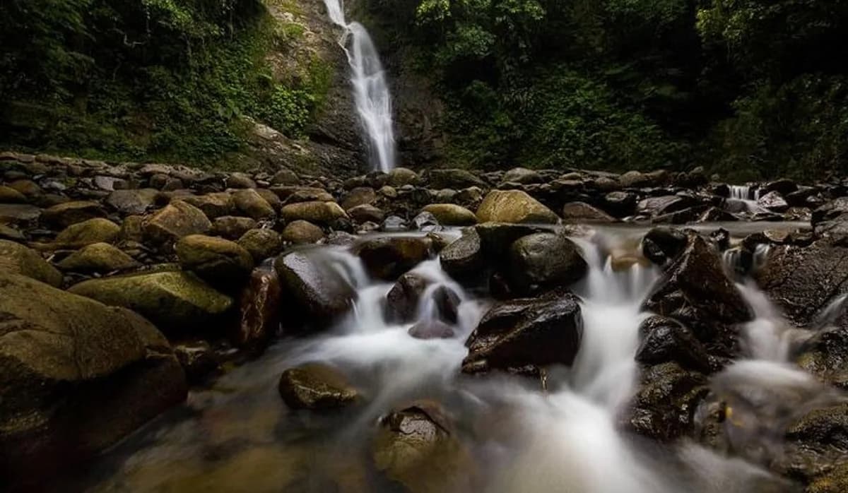 Biausevu Waterfall surrounded by rainforest on Fiji’s Coral Coast