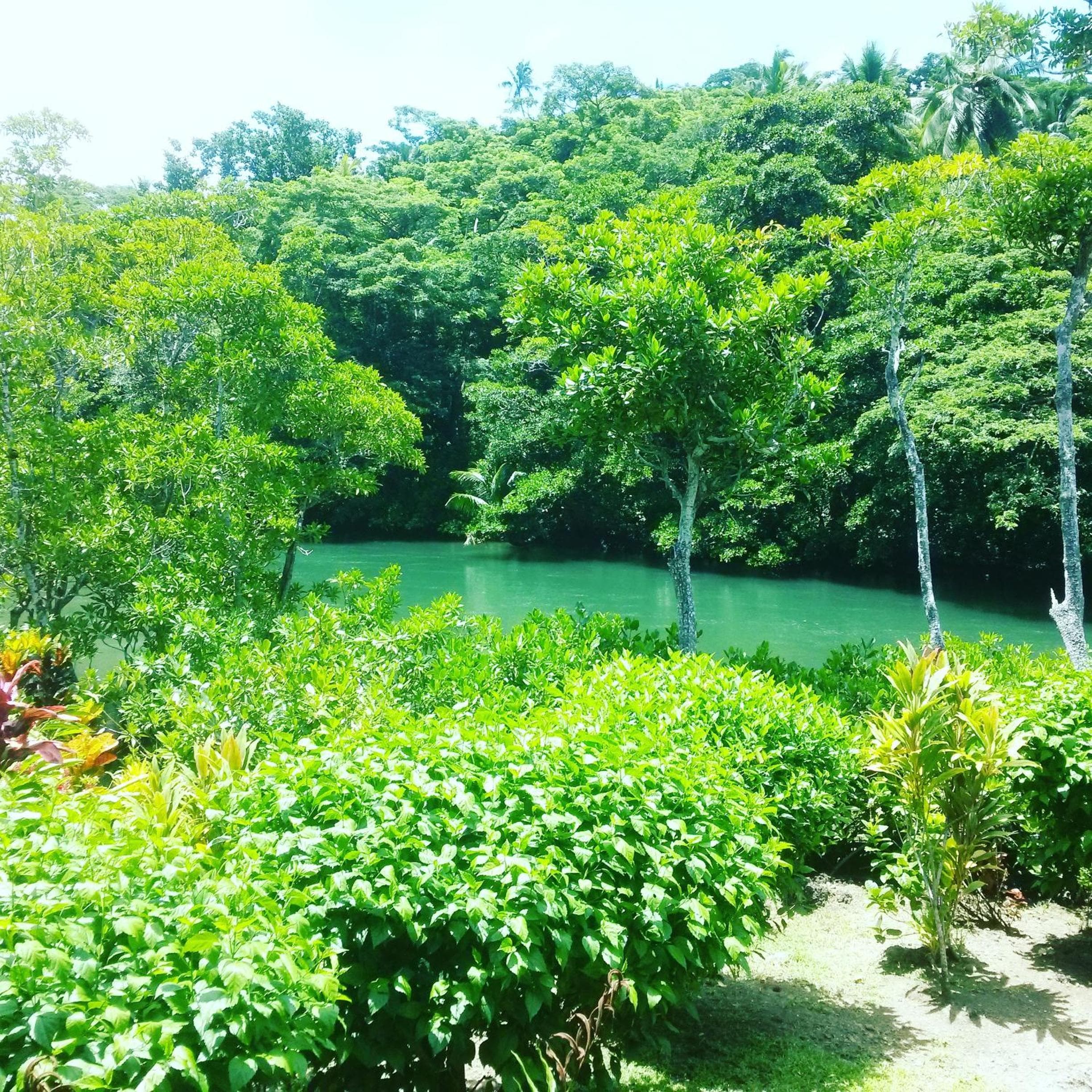 Bungalow - Water Front at Salt Lake Lodge