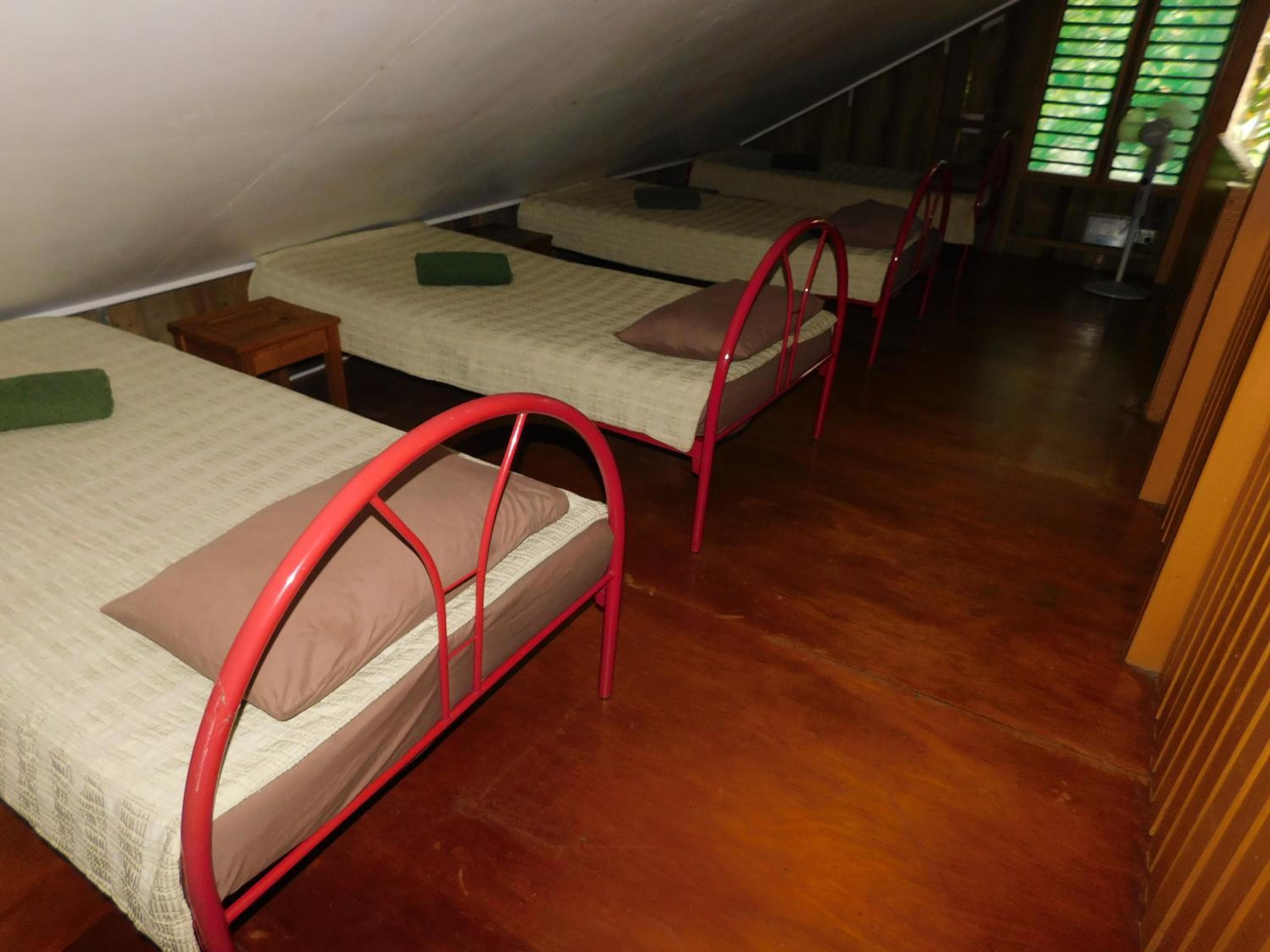 Family Bure with Forest View at Rainforest Eco Lodge